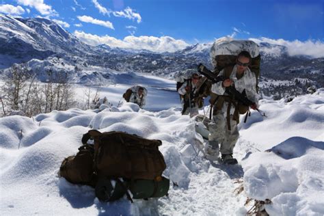 雪山上尋找乾柴：多重視角下的生存技巧與考量